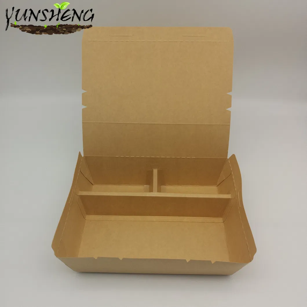 Biodegradable Food Container with Dividers and Lid Wholesale